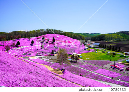 Hisashimo and Shibaura Park 40789883