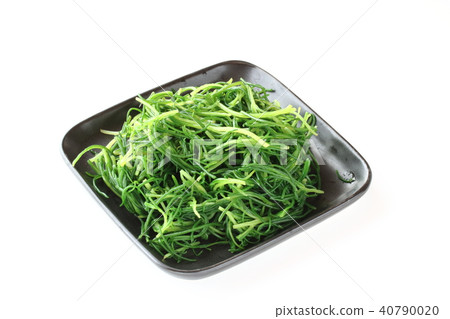 A thing with a sea bream A thing with a sea bream 40790020