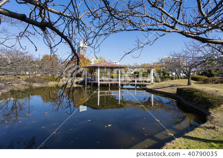 加古川市政府公園（兵庫縣加古川市） 40790035