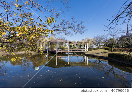 加古川市政府公園 兵庫縣加古川市 照片素材 圖片 圖庫