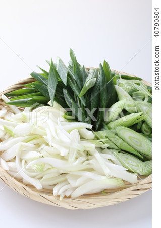 在樹葉下 40790804