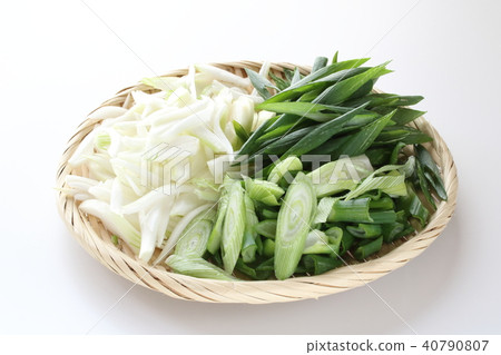 Under the leaves 40790807