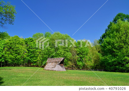 Jomon ruins cemetery remains Jomon ruins cemetery remains 40791026