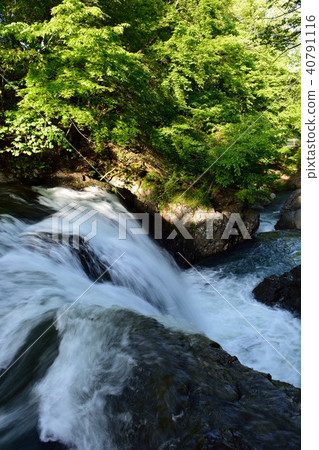 Mt. Tōdōhime's waterfall in fresh green Mt. Tōdōhime's waterfall in fresh green 40791116