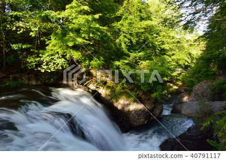 Mt. Tōdōhime's waterfall in fresh green 40791117