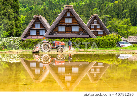 "Gifu Prefecture" Shirakawago, reflected in the paddy field 40791286