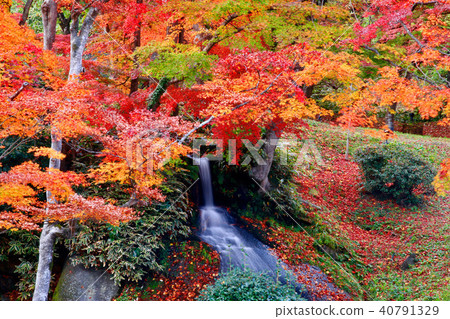 Hagiga Castle Park / Nabubaki Falls (Nihonmatsu City) 40791329
