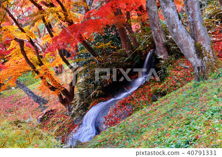 Hagiga Castle Park / Nabubaki Falls（二松本市） 40791331