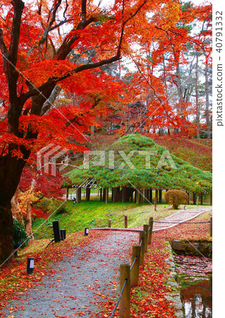 Ashiga Castle Park / Matsumatsu (Nichimatsu City) Ashiga Castle Park / Matsumatsu (Nichimatsu City) 40791332