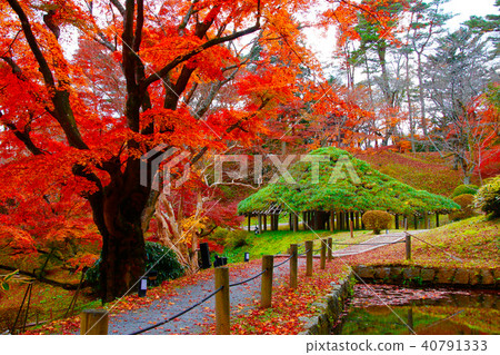 Ashiga Castle Park / Matsumatsu(Nichimatsu City) Ashiga Castle Park / Matsumatsu(Nichimatsu City) 40791333