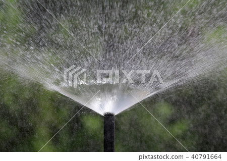 sprinkler head watering the bush and grass sprinkler head watering the bush and grass 40791664