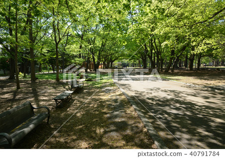 Maruyama Park札幌市 40791784