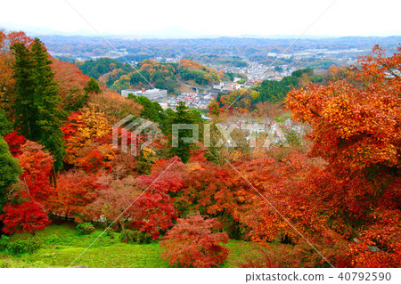 Kasumigajo Park in autumn (Nipponmatsu City) 40792590