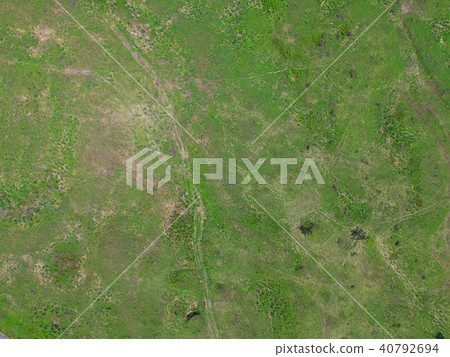 Aerial photograph at Grassland ~ Drone (Morning Neighborhood / Shizuoka Prefecture Fujinomiya City) 40792694