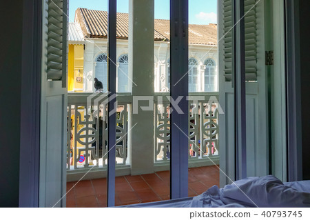 Pigeon by the window Pigeon by the window 40793745