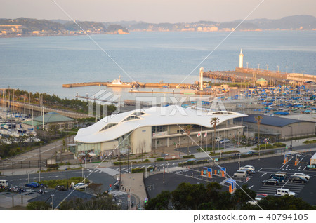 江之島遊艇港在晚上 江之島遊艇港在晚上 40794105