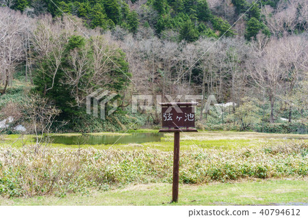 Manza高速公路沿線的“Sekigawakei” 40794612