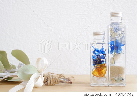 乾燥標本集手工製作的夏天顏色和殼 照片素材 圖片 圖庫