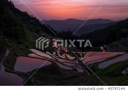 Izumiya的水稻梯田 40795144