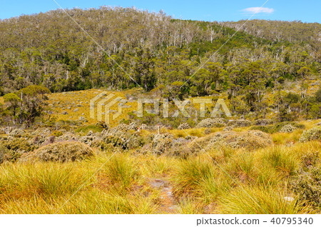 Dove Canyon Trail - Cradle Mountain Dove Canyon Trail - Cradle Mountain 40795340