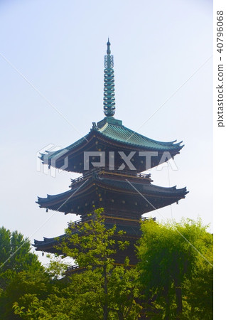 Five-storied pagoda of Kanei-ji (1st chome Ueno Sakuragi, Taito-ku, Tokyo) 40796068