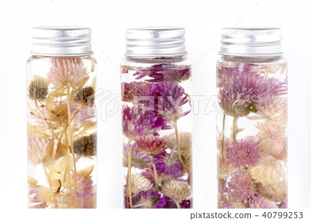 植物標本室 40799253