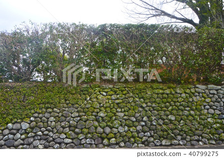 石垣,植木(Izumi Sui武士住宅/鹿兒島泉,鹿兒島) 石垣,植木(Izumi Sui武士住宅/鹿兒島泉,鹿兒島) 40799275