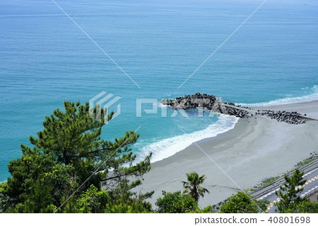 高知/京濱 高知/京濱 40801698