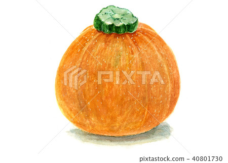 Round Zucchini Round Zucchini 40801730