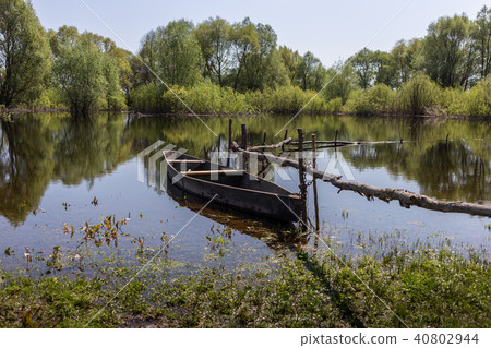 Wooden boat at village places in the floodplain forests of the Desna river, Ukraine Wooden boat at village places in the floodplain forests of the Desna river, Ukraine 40802944