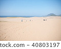鳥取沙丘 40803197