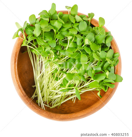Flax microgreens in wooden bowl over white 40803255