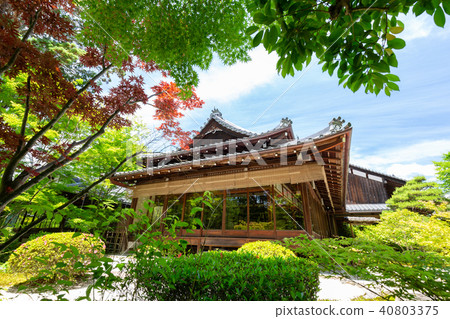 Tensenan in early summer 40803375