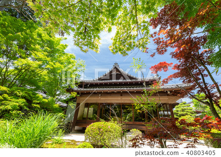Tensenan in early summer 40803405