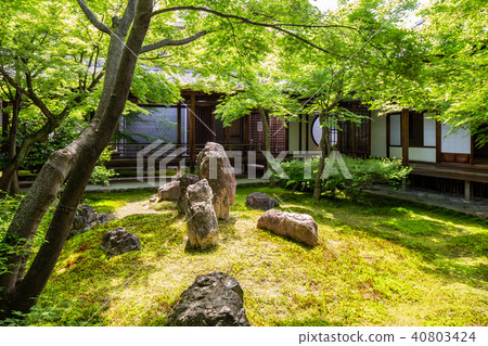 Seasonal garden 40803424