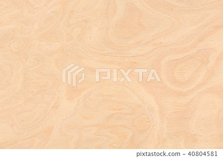 Ash burl design texture. Natural background closeup.  40804581