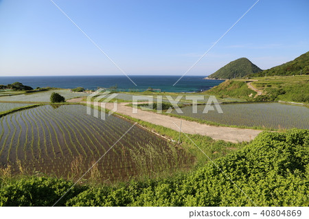 Sodei 's rice terrace (Soba no Tanada) Kyoto Prefecture Tango City Tangocho Sodeki Sodei 's rice terrace (Soba no Tanada) Kyoto Prefecture Tango City Tangocho Sodeki 40804869