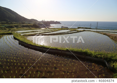 Sodei的水稻梯田(Soba no Tanada)京都府Tango City Tangocho Sodeki Sodei的水稻梯田(Soba no Tanada)京都府Tango City Tangocho Sodeki 40804874