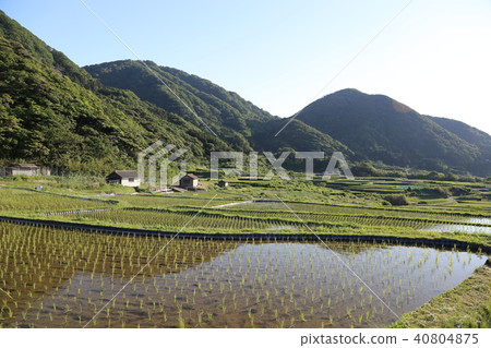 Sodei的水稻梯田(Soba no Tanada)京都府Tango City Tangocho Sodeki Sodei的水稻梯田(Soba no Tanada)京都府Tango City Tangocho Sodeki 40804875