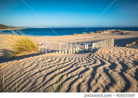 Dune of Punta Paloma, Tarifa, Andalusia, Spain 40805089