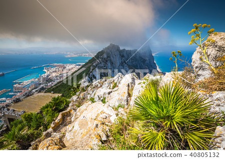 View of the Gibraltar rock from the Upper Rock 40805132