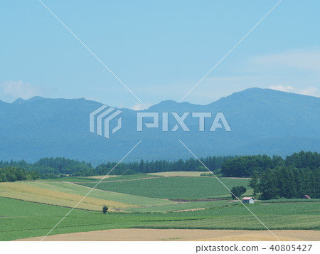 Shikisai Ayako 40805427