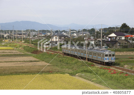 [CR] 秩父鐵路秩父本線5000系列列車（舊地鐵三田線車輛） 40805877