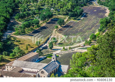 Abbaye de Senanque near village Gordes, Abbaye de Senanque near village Gordes, 40806130
