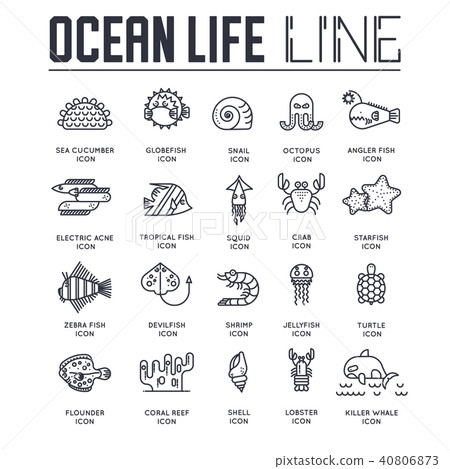 dedicated to undersea vector brochure lines set. dedicated to undersea vector brochure lines set. 40806873
