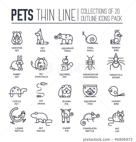 Animal flat thin line illustration icons set. 40806972