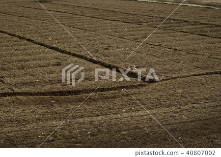 Preparation of the field 40807002