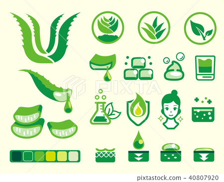 Basic attribute of aloe vera color icon set. Basic attribute of aloe vera color icon set. 40807920