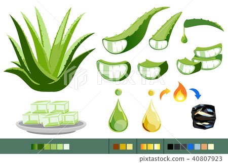 Properties of Aloe Vera concept. 40807923