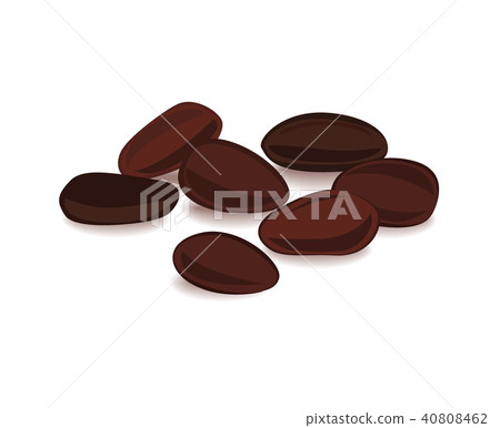 Cocoa beans vector isolated on white background. 40808462
